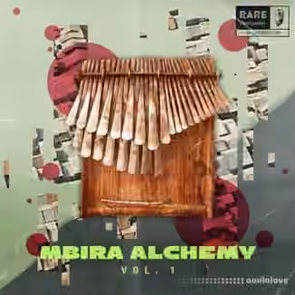 RARE Percussion Mbira Alchemy Vol.1 [WAV]
