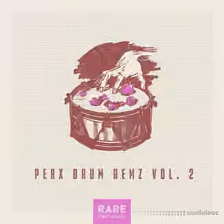 RARE Percussion Perx Drum Gemz Vol.2 [WAV]