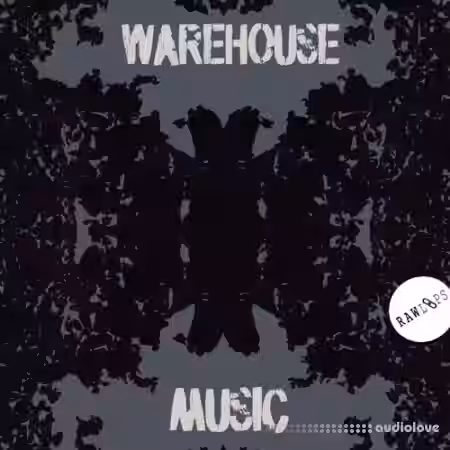 RAW LOOPS WAREHOUSE MUSIC [WAV]