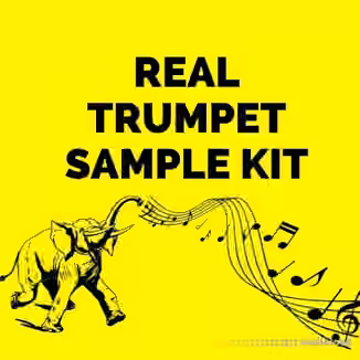 Real Trumpet Sample Kit [WAV]