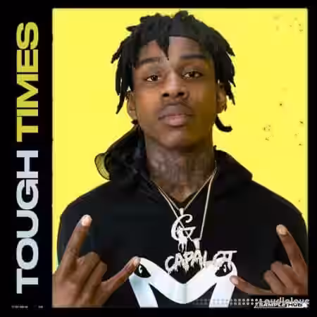 Sample Hub Tough Times [WAV]