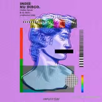 Samplestar Indie Nu Disco [WAV]