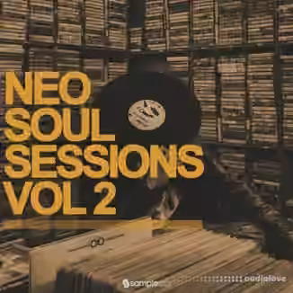 Samplestar Neo Soul Sessions Vol.2 [WAV]
