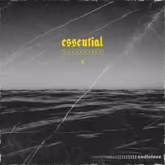 SAMUDAI Essential Bundle [WAV]