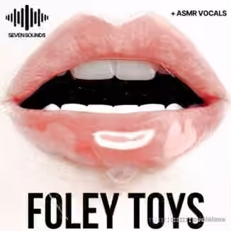 Seven Sounds Foley Toys [WAV]