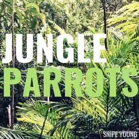 Snipe Young Jungle Parrots [WAV]