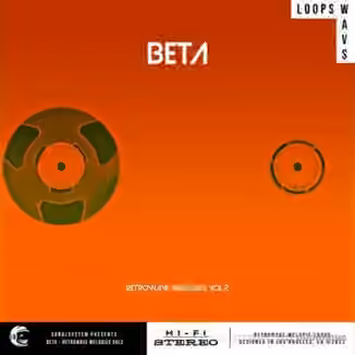 SonalSystem Beta Retrowave Melodics Vol.2 [WAV]