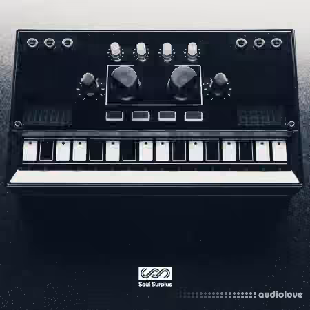 Soul Surplus Black Box [WAV]