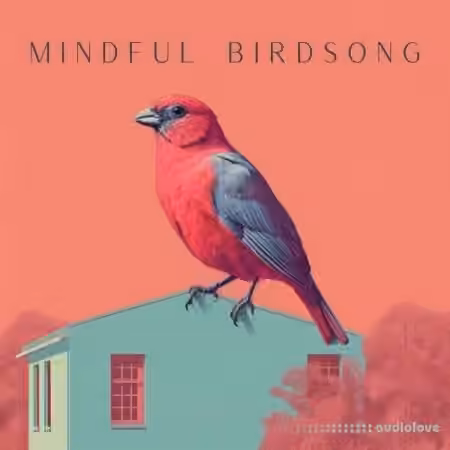 Sound FX Zone Mindful Birdsong [FLAC]