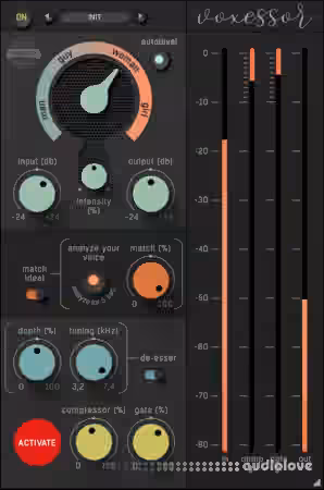 Soundevice Digital Voxessor v2.9 [WiN]