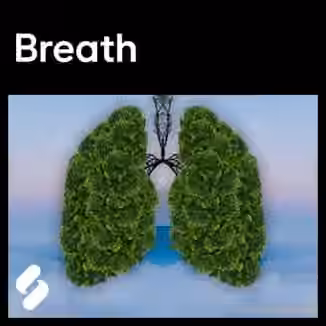 Splice Explores Breath [WAV]
