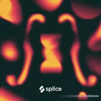 Splice Originals Cello Explorations with Hadas Kleinman [WAV]