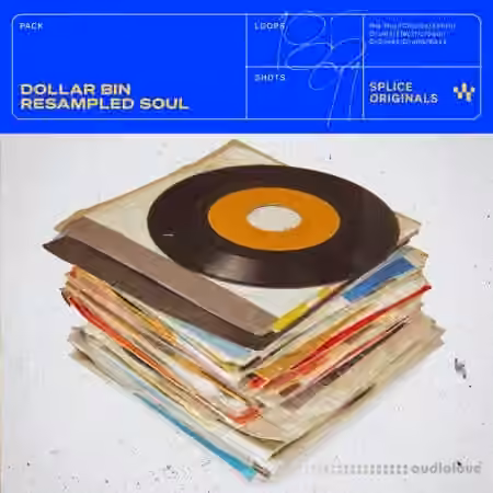 Splice Originals Dollar Bin Resampled Soul [WAV]