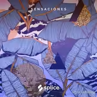 Splice Originals Sensaciones Latin RnB [WAV]