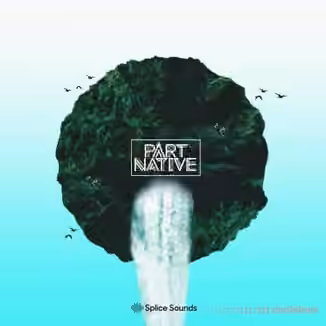 Splice Sounds Part Native Pack [WAV]