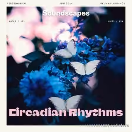 Splice Soundscapes Circadian Rhythms [WAV]