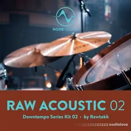 Steinberg Noise Design Raw Acoustic Downtempo 2 [Synth Presets]