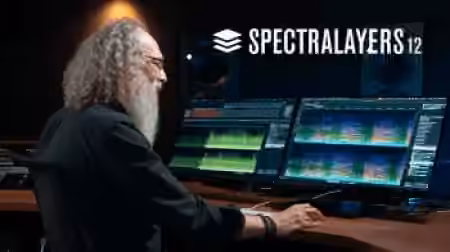 Steinberg SpectraLayers Pro v12.0.20 U2B [MacOSX]