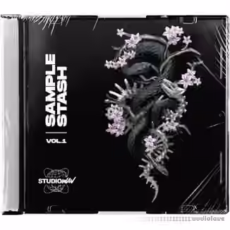 StudioWAV Sample Stash [WAV]