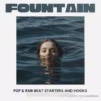 T-kid The Producer Fountain Pop and Rnb Melody Kit and Hooks [WAV, MiDi]