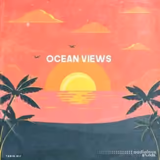 Tariq Ali Ocean Views [WAV]