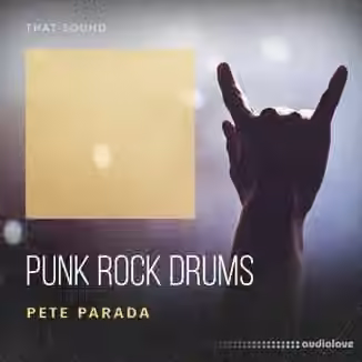 That Sound Punk Rock Drums [WAV]