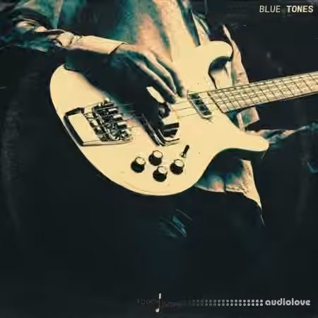 Touch Loops Blue Tones [WAV]