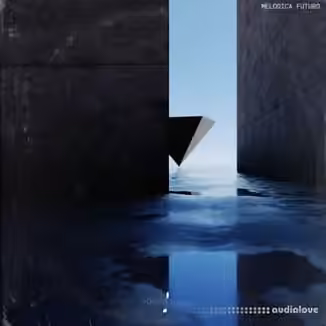 Touch Loops Melodica Futuro [WAV]