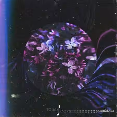 Touch Loops Organic House [WAV, MiDi]