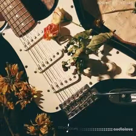 Touch Loops Songwriter Guitars [WAV]