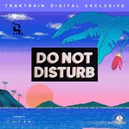 TrakTrain Do Not Disturb Guitar Loop Kit [WAV]