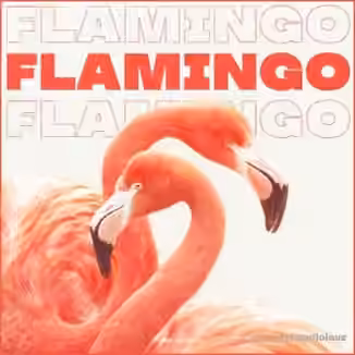 Trap Veterans Flamingo [WAV]