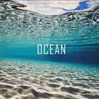 Trap Veterans Ocean [WAV]