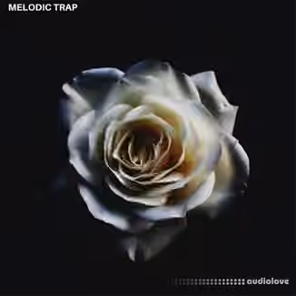 Triad Sounds Modern Samples Melodic Trap [WAV]