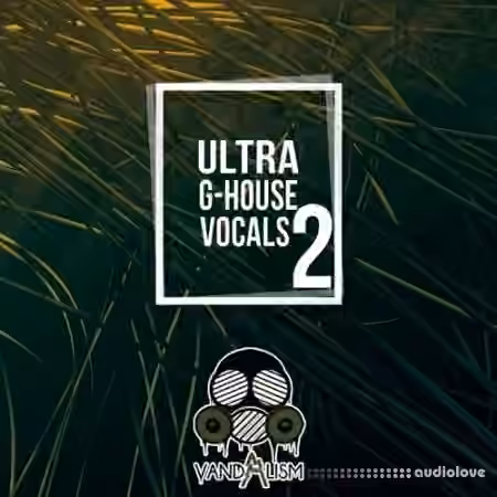 Vandalism Ultra G-House Vocals 2 [WAV]
