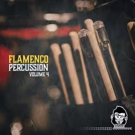 Vanilla Groove Studios Flamenco Percussion Vol.4 [WAV]