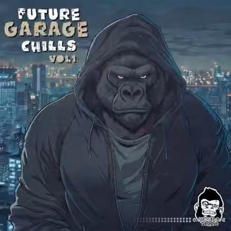 Vanilla Groove Studios Future Garage Chills Vol 1 [WAV]