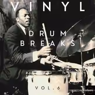Vinyl Zen Vinyl Drum Breaks Vol.6 (22 Drum Breaks Perfectly Looped) [WAV]